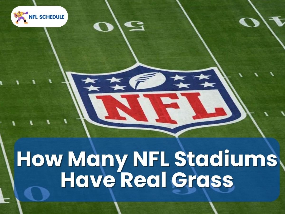 How Many NFL Stadiums Have Real Grass? NFL Schedule