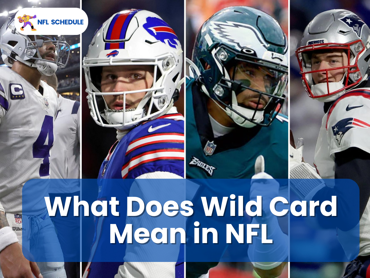 what does wild card mean in NFL